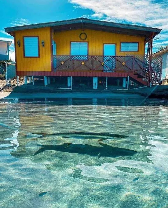 El Vagon De Vale Apartment Boqueron 0*,